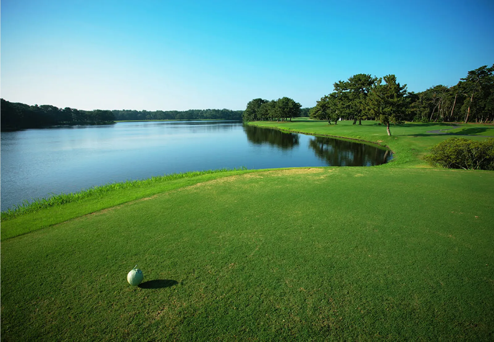 A serene golf course next to a large calm lake, with lush green grass and a clear blue sky.