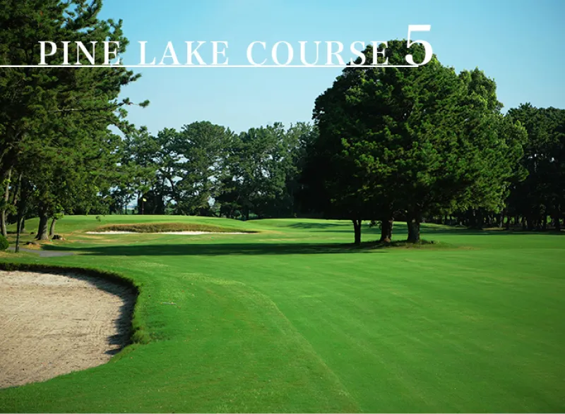 A scenic view of a golf course surrounded by trees and sand bunkers, with Pine Lake Course 5 written at the top.