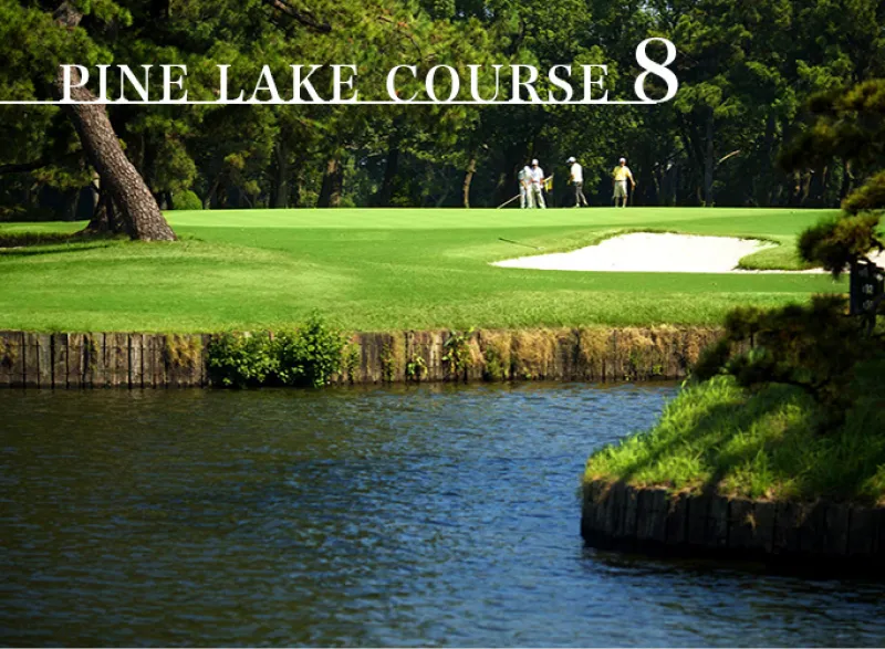 A group of golfers in the distance on a golf course near a lake, with Pine Lake Course 8 written at the top of the image.