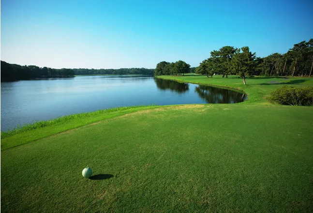 A wide view of a golf course by a large lake, showing well-maintained green grass and surrounding trees under a bright blue sky.