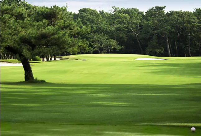 Four women dressed in golf attire, smiling and walking on a green golf course with trees in the background.