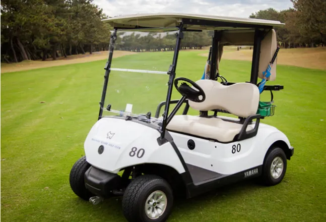 A man and a woman standing beside a golf cart on a green golf course, engaging in conversation, with a lake and trees in the background.